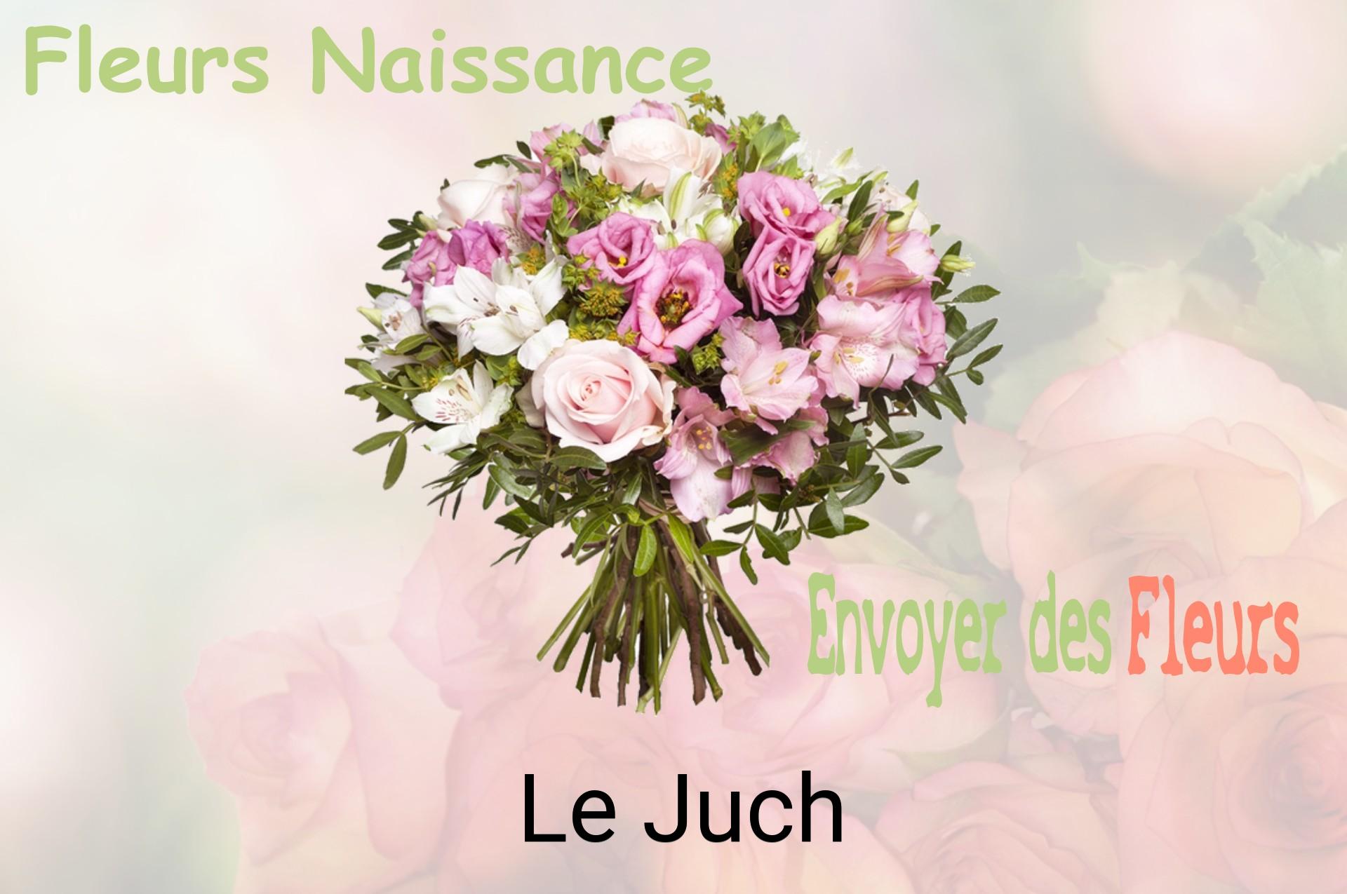 Bouquet de fleurs de naissance livré à Le Juch